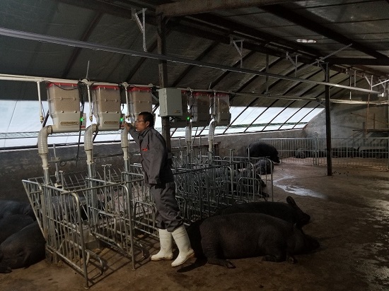 AI鲜肉铺火爆全网 实地探访AI猪肉背后的秘密