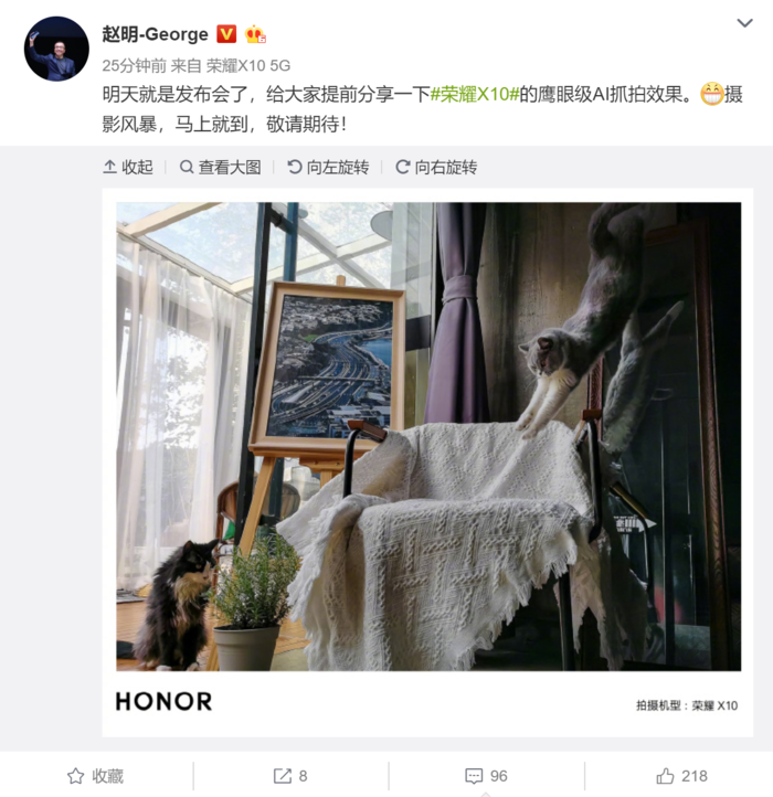 荣耀X10