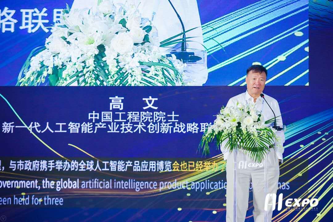 高文院士：通过自主创新加快弥补芯片短板是发展AI当务之急