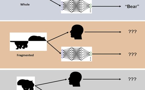 约克大学：AI进步很快，但它的识别能力比人眼还是差远了