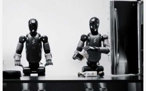 告别传统家务！Figure 2025 年将启动人形机器人家庭测试