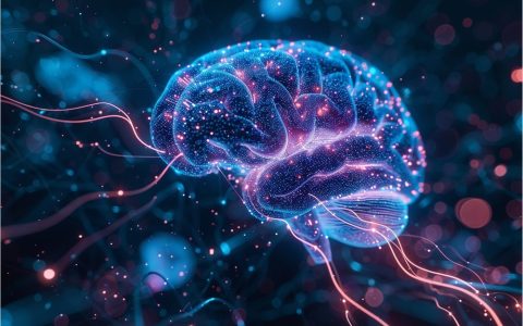 NeuroAI之父对话实录:深度解析神经科学如何启发下一代AI发展