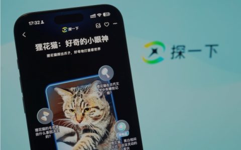 支付宝推出新一代AI视觉搜索产品“探一下”：用AI之眼探索万物