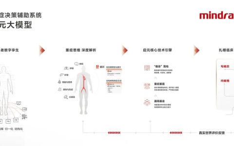 迈瑞医疗与腾讯联合发布「启元重症大模型」