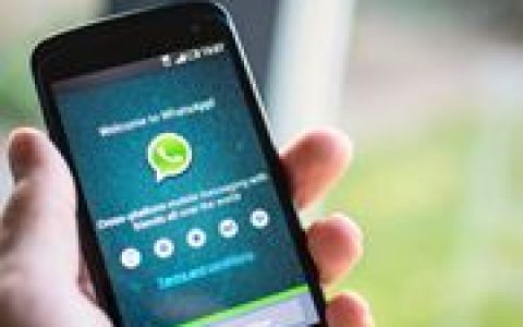 WhatsApp测试版更新预览可选择Meta AI Llama模型功能