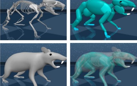哈佛神经科学家和谷歌DeepMind 在虚拟老鼠中创建人工大脑