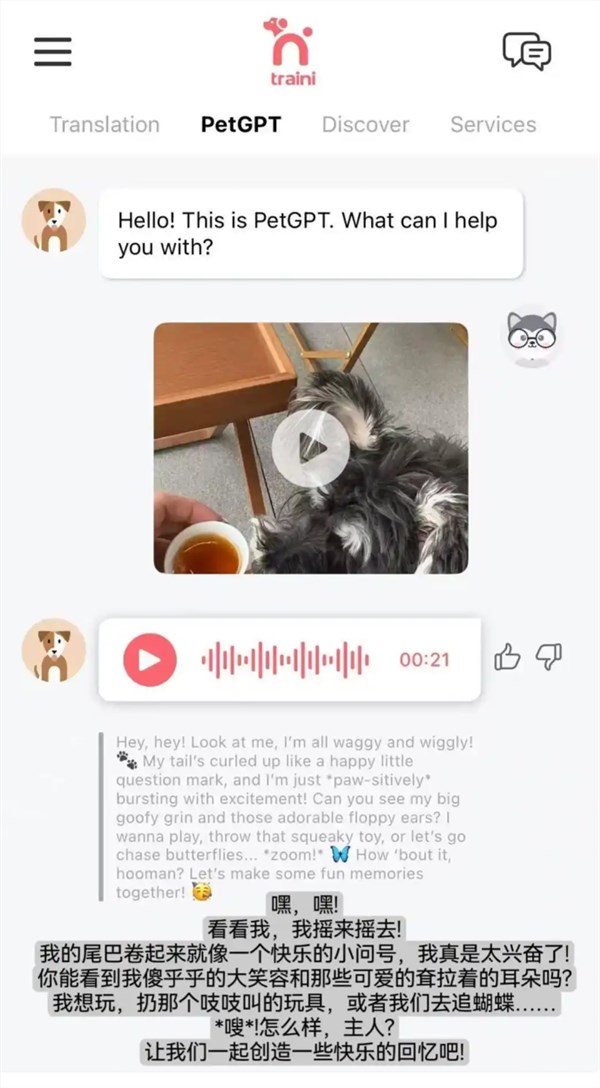 实现跨物种交流！AI人宠语言翻译软件大火：可检测宠物犬 12 种情绪