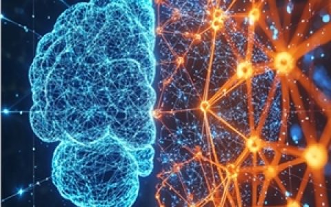 AI视觉革命！受人脑启发的新技术让机器“看”得更准、更高效